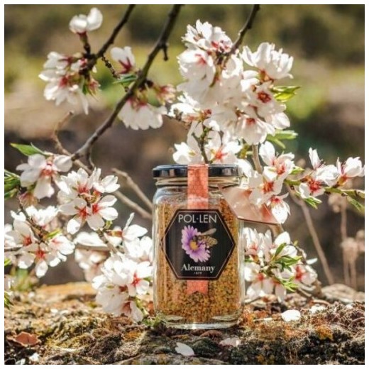 Polen Abeja 220g | Alemany Online