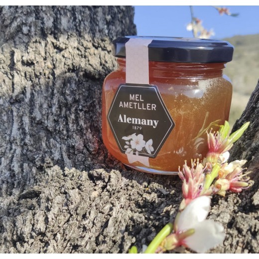 Mel flor d'Ametller 250g | Alemany Online